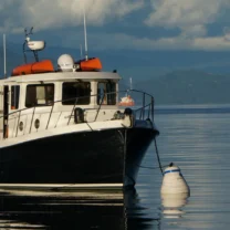 Boat Maintenance and Repair Service